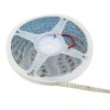 LED-STRIP-5050-LED-CALIDA-5MTR---LH102_30661_LH102_3