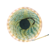 LED-STRIP-5050-LED-CALIDA-5MTR-LH102_30661_LH102_1.png