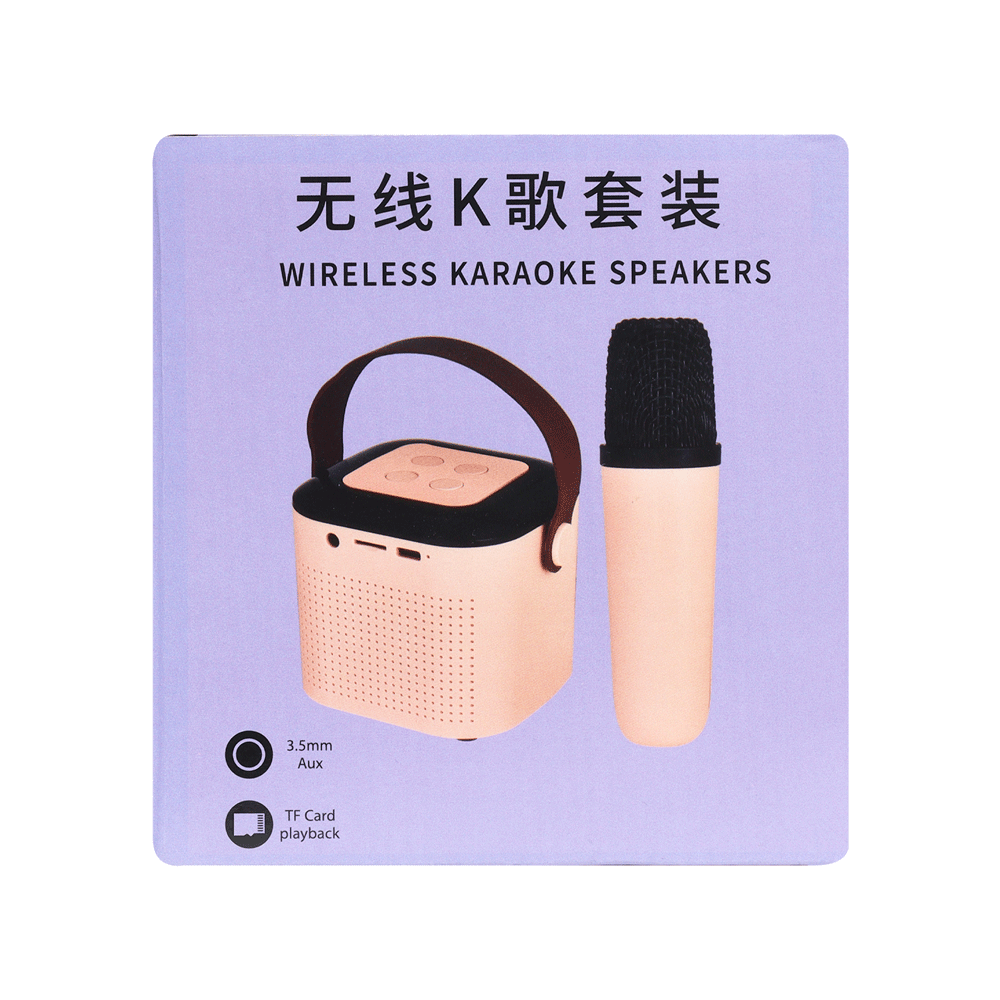 MINI-KARAOKE-RGB-2-MICS_30695_Y1_5