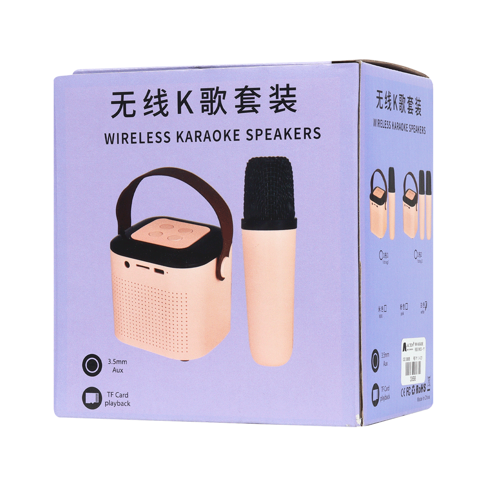 MINI-KARAOKE-RGB-2-MICS_30695_Y1_6