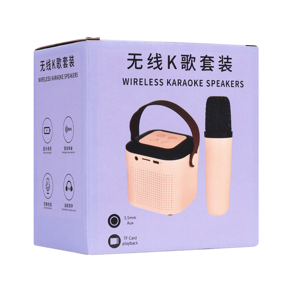 MINI-KARAOKE-RGB-2-MICS_30695_Y1_7